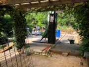 Abriss der brandgeschädigten Hütte im Kneipp-Garten (Foto: Dieter Dippel)