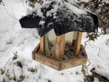 Winterliche Impressionen aus dem Kneipp-Garten (Foto: Dieter Dippel)