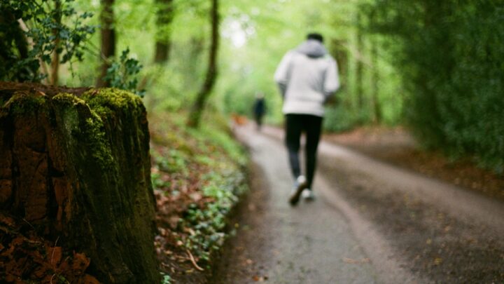 Foto von Rob Sutherland auf Unsplash